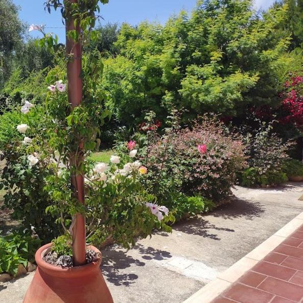 La Casa Di Giada, Appartamento In Villetta Con Aria Condizionata, Wi-Fi E Parcheggio Gratuito Poggi Esterno foto